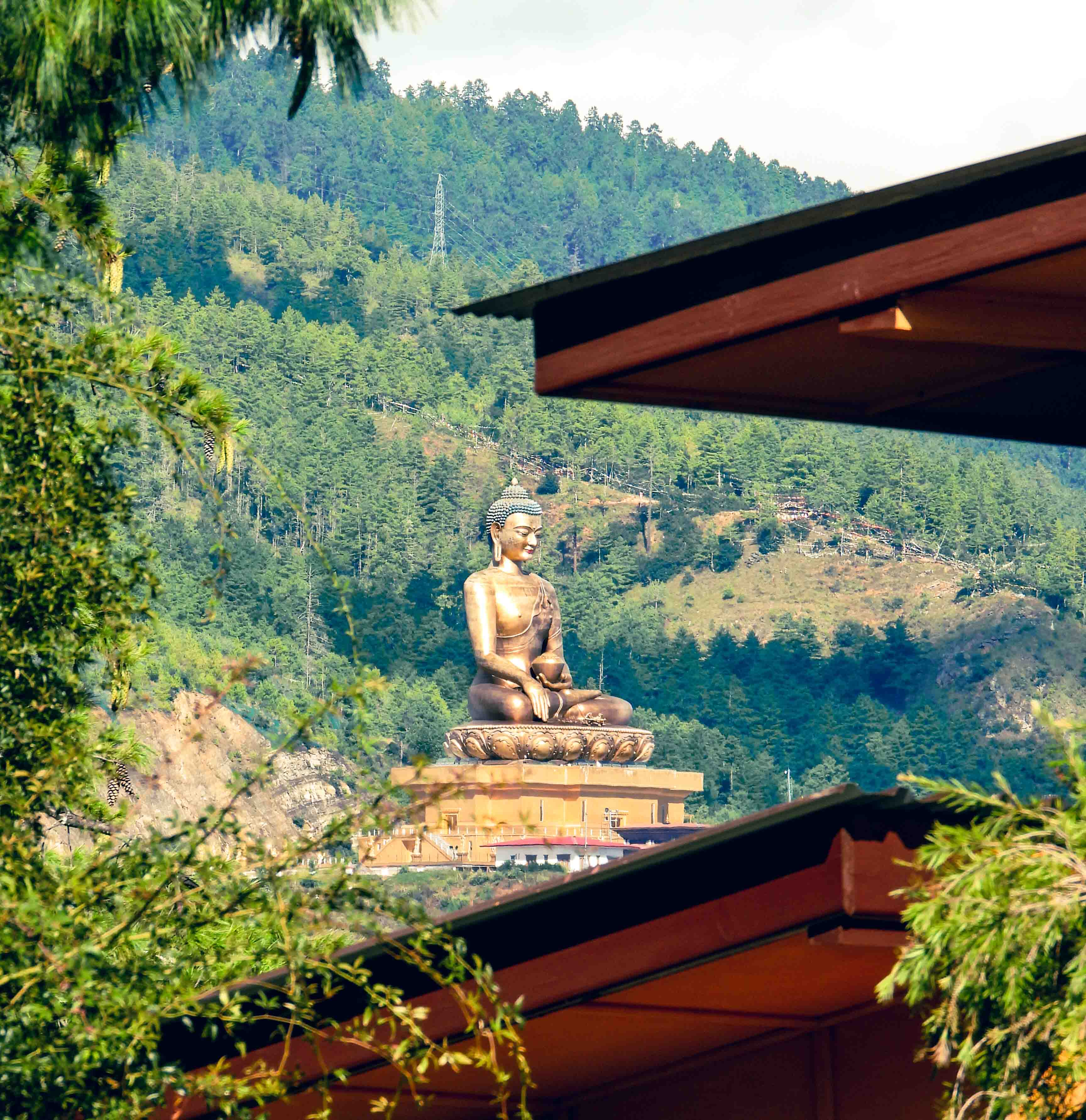 Meditation and yoga session